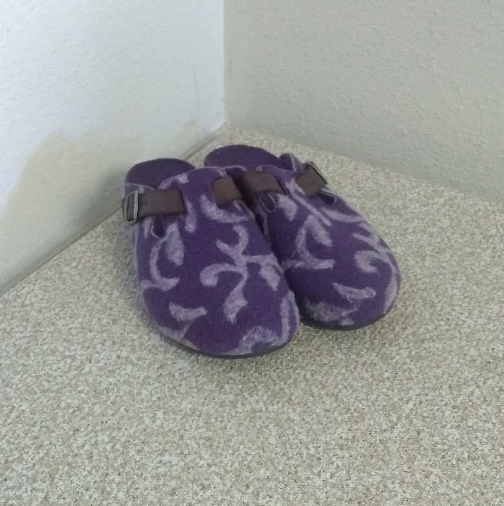 Dr. Andrew Weil Ortheal Clogs
